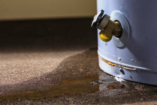 Best Water damage restoration cost  in Smackover, AR