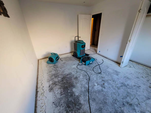 Best Water damage restoration insurance claims  in Smackover, AR