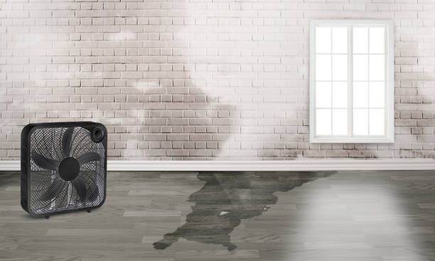 Best Fire Damage Restoration  in Smackover, AR