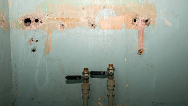 Best Fire Damage Restoration  in Smackover, AR