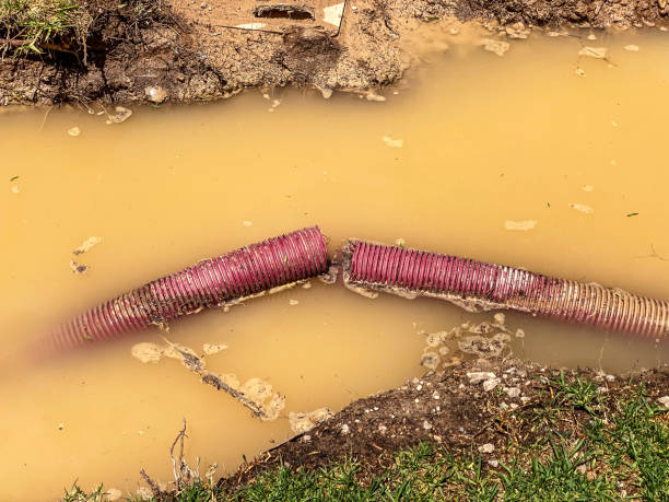 Best Water damage restoration company  in Smackover, AR